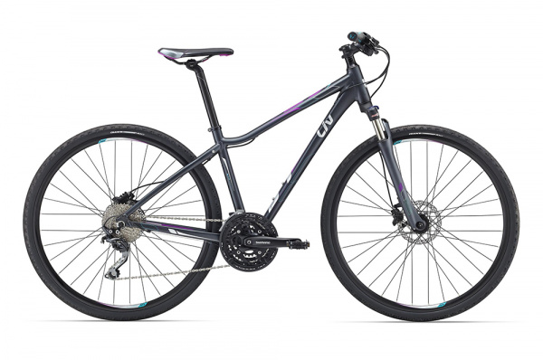 Велосипед Giant Rove 1 Disc 2016